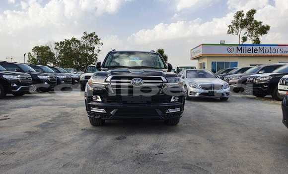 Acheter Neuf Voiture Toyota Land Cruiser Noir à Barclayville, Grand Kru County Acheter Neuf Voiture Toyota Land Cruiser Noir à Barclayville, Grand Kru County