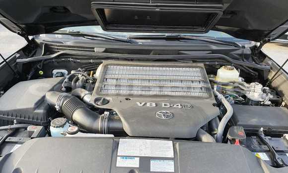 Acheter Neuf Voiture Toyota Land Cruiser Noir à Barclayville, Grand Kru County Acheter Neuf Voiture Toyota Land Cruiser Noir à Barclayville, Grand Kru County