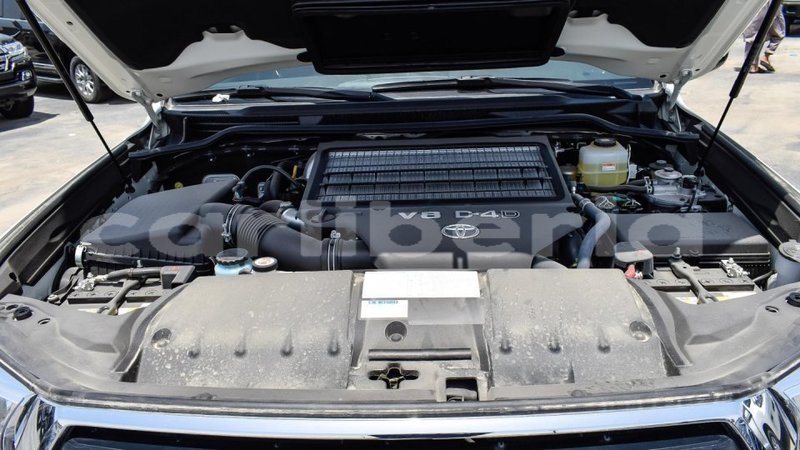 Big with watermark 13