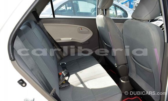 Buy Import Kia Picanto White Car in Import - Dubai in Bomi County Buy Import Kia Picanto White Car in Import - Dubai in Bomi County