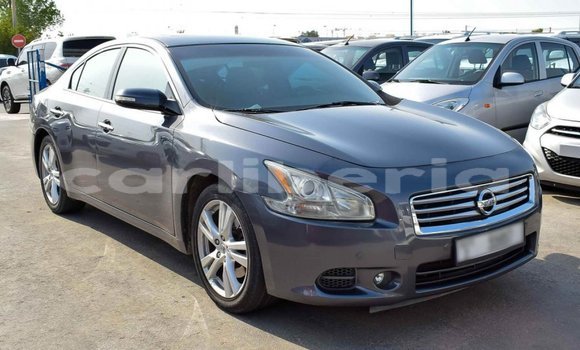Buy Import Nissan Maxima Other Car in Import - Dubai in Bomi County Buy Import Nissan Maxima Other Car in Import - Dubai in Bomi County