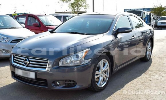 Buy Import Nissan Maxima Other Car in Import - Dubai in Bomi County Buy Import Nissan Maxima Other Car in Import - Dubai in Bomi County