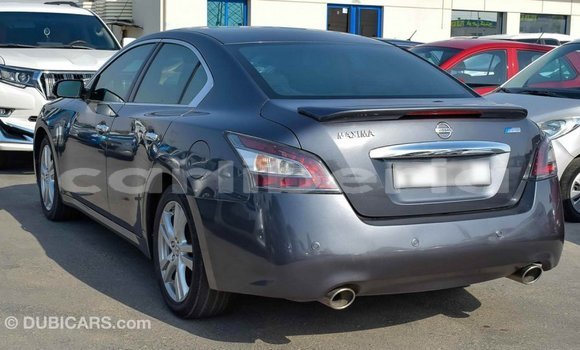 Buy Import Nissan Maxima Other Car in Import - Dubai in Bomi County Buy Import Nissan Maxima Other Car in Import - Dubai in Bomi County