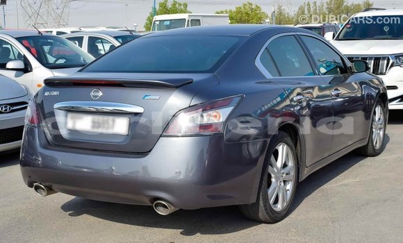 Buy Import Nissan Maxima Other Car in Import - Dubai in Bomi County Buy Import Nissan Maxima Other Car in Import - Dubai in Bomi County