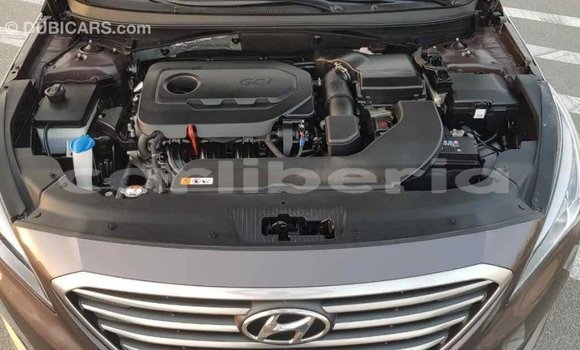 Buy Import Hyundai Sonata Brown Car in Import - Dubai in Bomi County Buy Import Hyundai Sonata Brown Car in Import - Dubai in Bomi County