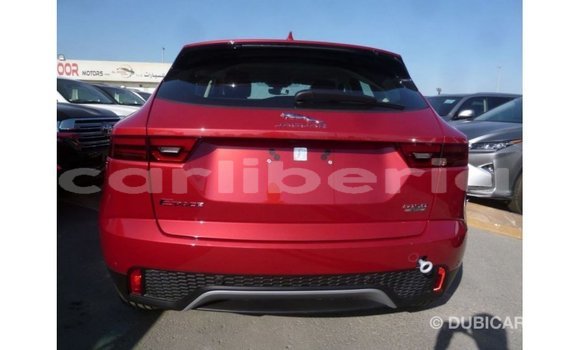 Buy Import Jaguar E-Pace Red Car in Import - Dubai in Bomi County Buy Import Jaguar E-Pace Red Car in Import - Dubai in Bomi County