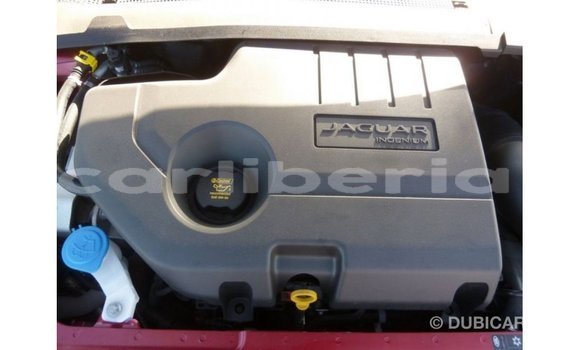 Buy Import Jaguar E-Pace Red Car in Import - Dubai in Bomi County Buy Import Jaguar E-Pace Red Car in Import - Dubai in Bomi County