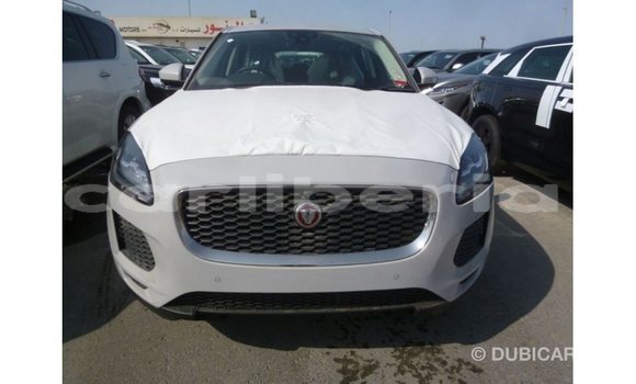 Buy Import Jaguar E-Pace White Car in Import - Dubai in Bomi County Buy Import Jaguar E-Pace White Car in Import - Dubai in Bomi County