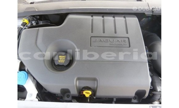 Buy Import Jaguar E-Pace White Car in Import - Dubai in Bomi County Buy Import Jaguar E-Pace White Car in Import - Dubai in Bomi County