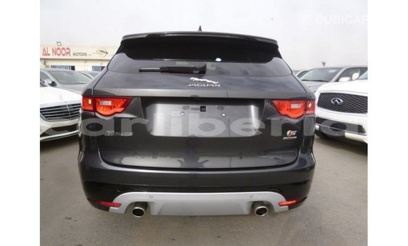 Buy Import Jaguar F-Type Black Car in Import - Dubai in Bomi County Buy Import Jaguar F-Type Black Car in Import - Dubai in Bomi County