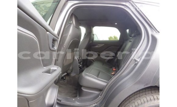 Buy Import Jaguar F-Type Black Car in Import - Dubai in Bomi County Buy Import Jaguar F-Type Black Car in Import - Dubai in Bomi County