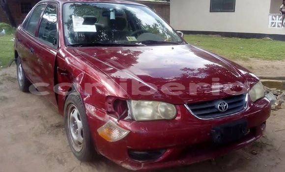 Buy Used Toyota Corolla Red Car in Monrovia in Montserrado County