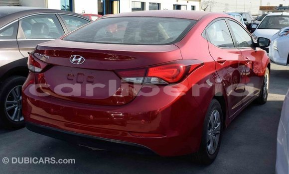 Buy Import Hyundai Elantra Red Car in Import - Dubai in Bomi County Buy Import Hyundai Elantra Red Car in Import - Dubai in Bomi County