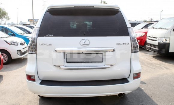 Buy Import Lexus GX White Car in Import - Dubai in Bomi County Buy Import Lexus GX White Car in Import - Dubai in Bomi County
