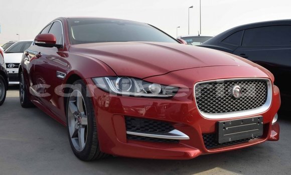 Buy Import Jaguar XE Red Car in Import - Dubai in Bomi County