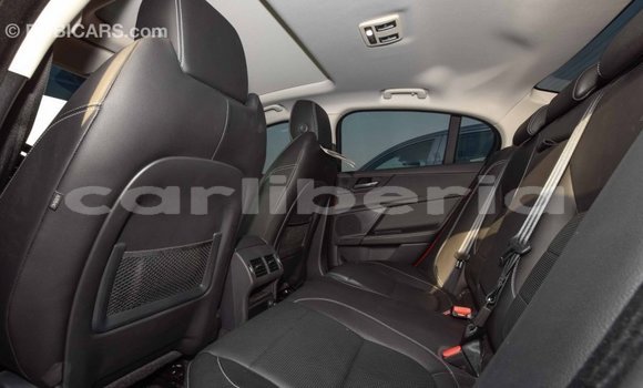 Buy Import Jaguar XE Red Car in Import - Dubai in Bomi County Buy Import Jaguar XE Red Car in Import - Dubai in Bomi County