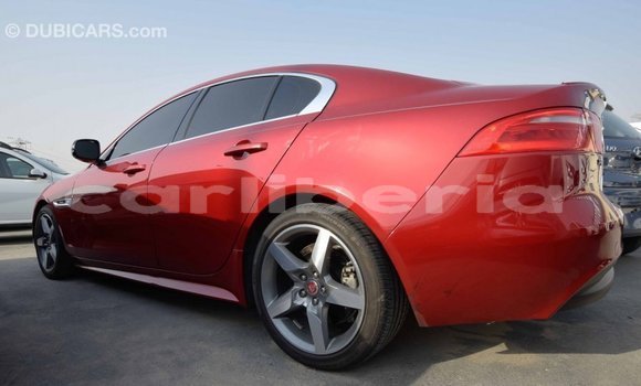 Buy Import Jaguar XE Red Car in Import - Dubai in Bomi County Buy Import Jaguar XE Red Car in Import - Dubai in Bomi County