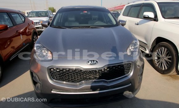 Buy Import Kia Sportage Other Car in Import - Dubai in Bomi County Buy Import Kia Sportage Other Car in Import - Dubai in Bomi County