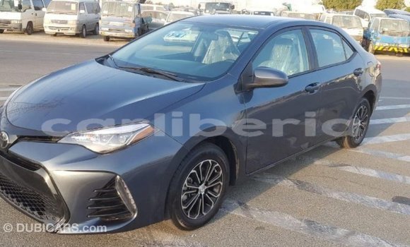 Buy Import Toyota Corolla Other Car in Import - Dubai in Bomi County Buy Import Toyota Corolla Other Car in Import - Dubai in Bomi County