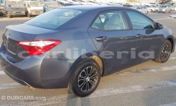 Buy Import Toyota Corolla Other Car in Import - Dubai in Bomi County Buy Import Toyota Corolla Other Car in Import - Dubai in Bomi County