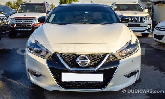 Acheter Import Voiture Nissan Maxima Blanc à Import - Dubai, Comté de Bomi Acheter Import Voiture Nissan Maxima Blanc à Import - Dubai, Comté de Bomi
