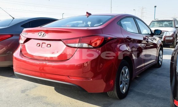 Buy Import Hyundai Elantra Red Car in Import - Dubai in Bomi County Buy Import Hyundai Elantra Red Car in Import - Dubai in Bomi County