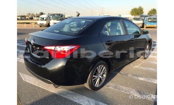 Buy Import Toyota Corolla Black Car in Import - Dubai in Bomi County Buy Import Toyota Corolla Black Car in Import - Dubai in Bomi County