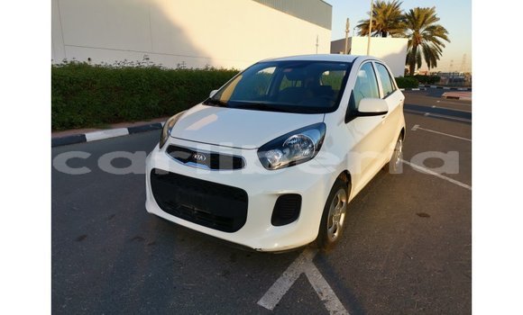 Buy Import Kia Picanto White Car in Import - Dubai in Bomi County Buy Import Kia Picanto White Car in Import - Dubai in Bomi County