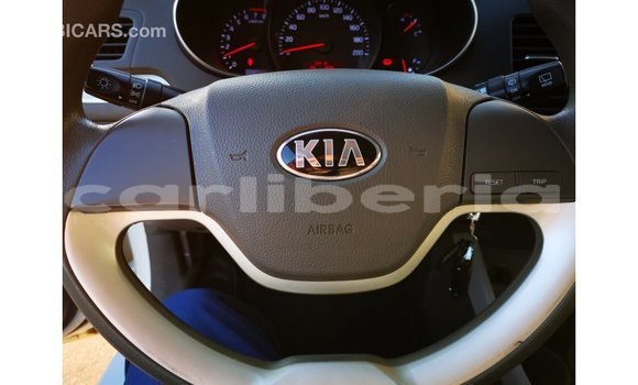 Buy Import Kia Picanto White Car in Import - Dubai in Bomi County Buy Import Kia Picanto White Car in Import - Dubai in Bomi County