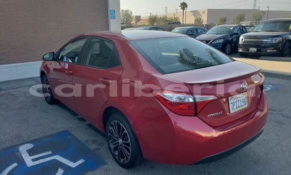 Buy Used Toyota Corolla Red Car in Monrovia in Montserrado County Buy Used Toyota Corolla Red Car in Monrovia in Montserrado County