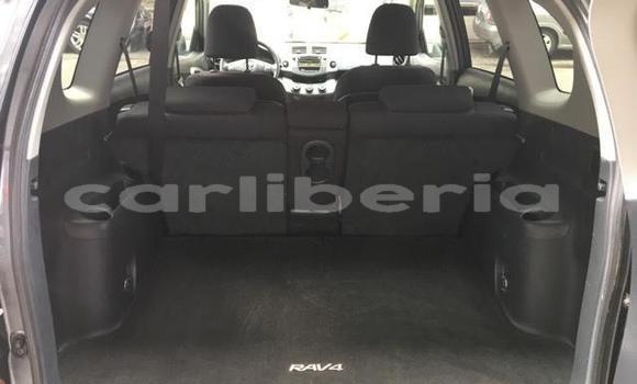 Buy Used Toyota RAV4 Beige Car in Monrovia in Montserrado County Buy Used Toyota RAV4 Beige Car in Monrovia in Montserrado County