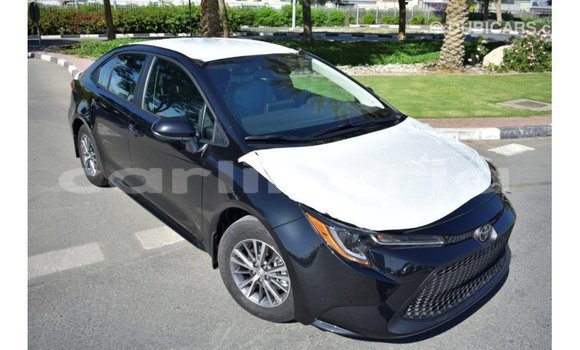 Buy Import Toyota Corolla Black Car in Import - Dubai in Bomi County Buy Import Toyota Corolla Black Car in Import - Dubai in Bomi County