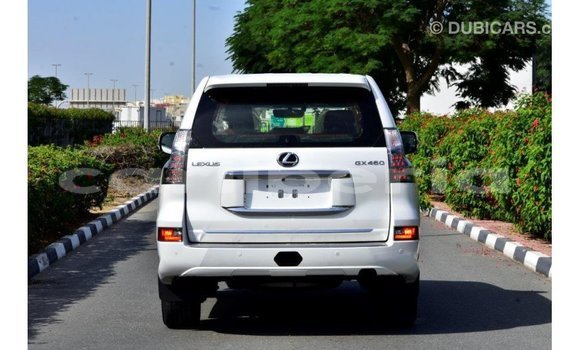 Buy Import Lexus GX White Car in Import - Dubai in Bomi County Buy Import Lexus GX White Car in Import - Dubai in Bomi County
