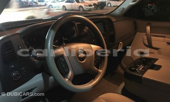 Buy Import Chevrolet Silverado Other Car in Import - Dubai in Bomi County Buy Import Chevrolet Silverado Other Car in Import - Dubai in Bomi County