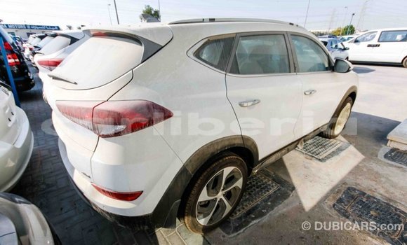 Buy Import Hyundai Tucson White Car in Import - Dubai in Bomi County Buy Import Hyundai Tucson White Car in Import - Dubai in Bomi County