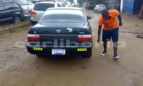 Buy Used Toyota Corolla Black Car in Monrovia in Montserrado County