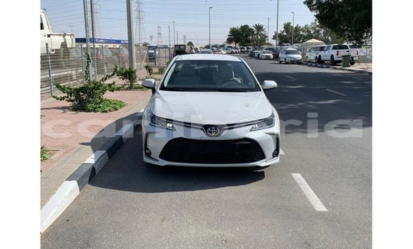 Buy Import Toyota Corolla White Car in Import - Dubai in Bomi County Buy Import Toyota Corolla White Car in Import - Dubai in Bomi County