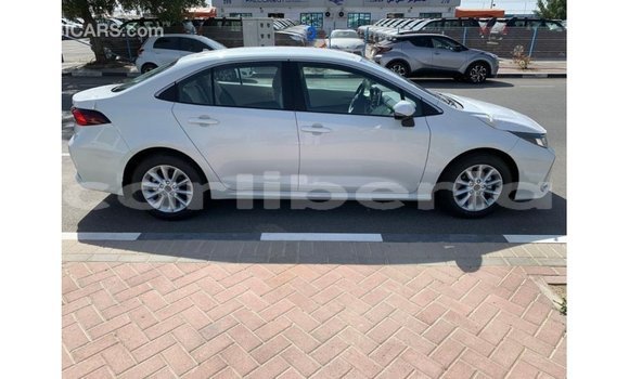 Buy Import Toyota Corolla White Car in Import - Dubai in Bomi County Buy Import Toyota Corolla White Car in Import - Dubai in Bomi County
