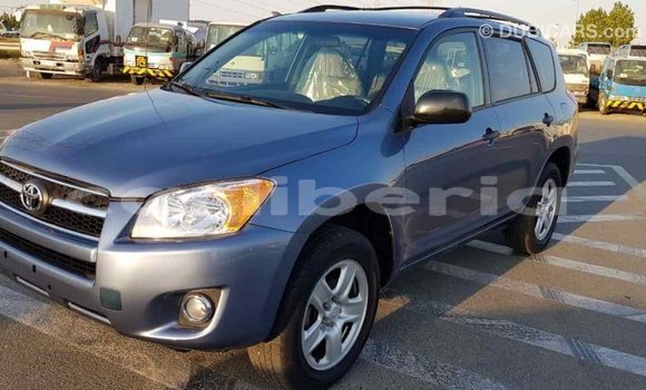 Buy Import Toyota RAV4 Blue Car in Import - Dubai in Bomi County Buy Import Toyota RAV4 Blue Car in Import - Dubai in Bomi County