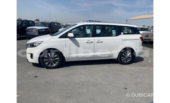 Buy Import Kia Carnival White Car in Import - Dubai in Bomi County Buy Import Kia Carnival White Car in Import - Dubai in Bomi County