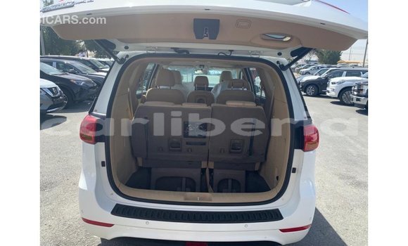 Buy Import Kia Carnival White Car in Import - Dubai in Bomi County Buy Import Kia Carnival White Car in Import - Dubai in Bomi County