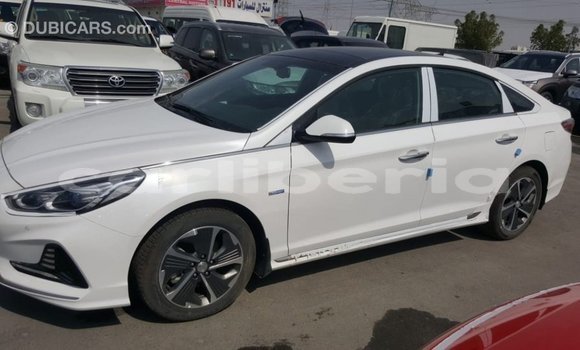 Buy Import Hyundai Sonata White Car in Import - Dubai in Bomi County Buy Import Hyundai Sonata White Car in Import - Dubai in Bomi County