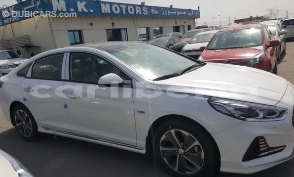 Buy Import Hyundai Sonata White Car in Import - Dubai in Bomi County Buy Import Hyundai Sonata White Car in Import - Dubai in Bomi County