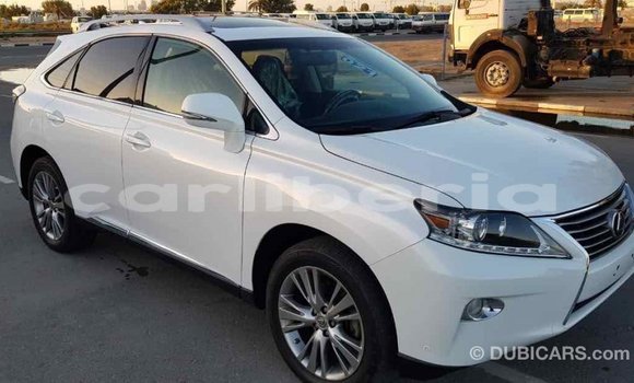 Buy Import Lexus RX 350 White Car in Import - Dubai in Bomi County Buy Import Lexus RX 350 White Car in Import - Dubai in Bomi County