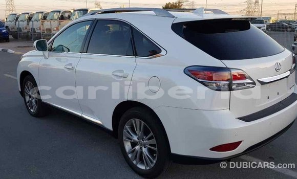 Buy Import Lexus RX 350 White Car in Import - Dubai in Bomi County Buy Import Lexus RX 350 White Car in Import - Dubai in Bomi County