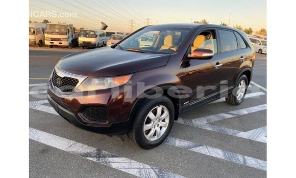 Buy Import Kia Sorento Brown Car in Import - Dubai in Bomi County Buy Import Kia Sorento Brown Car in Import - Dubai in Bomi County