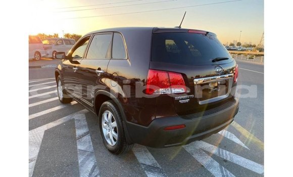 Buy Import Kia Sorento Brown Car in Import - Dubai in Bomi County Buy Import Kia Sorento Brown Car in Import - Dubai in Bomi County