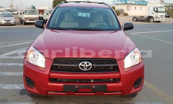 Buy Import Toyota RAV4 Red Car in Import - Dubai in Bomi County Buy Import Toyota RAV4 Red Car in Import - Dubai in Bomi County