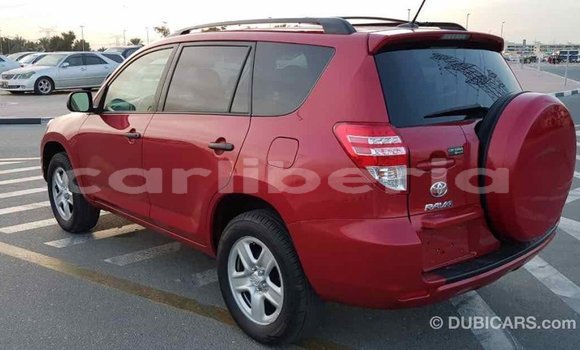 Buy Import Toyota RAV4 Red Car in Import - Dubai in Bomi County Buy Import Toyota RAV4 Red Car in Import - Dubai in Bomi County