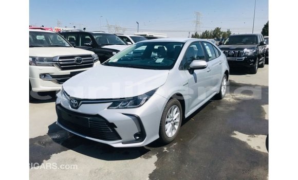 Buy Import Toyota Corolla White Car in Import - Dubai in Bomi County Buy Import Toyota Corolla White Car in Import - Dubai in Bomi County